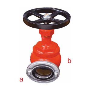 Yarım Diş Rakorlu /Rakorsuz Hidrant Vanası